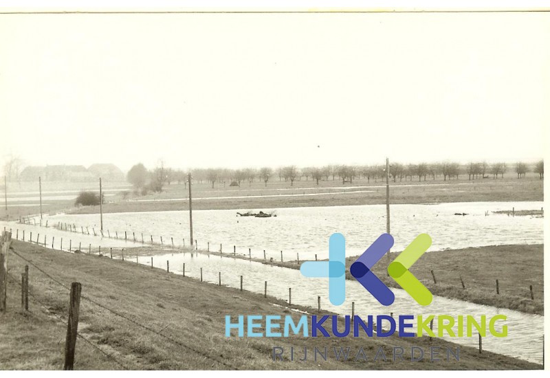 kwel langs de Pannerdense banddijk 1970 Coll.HKR F0000031